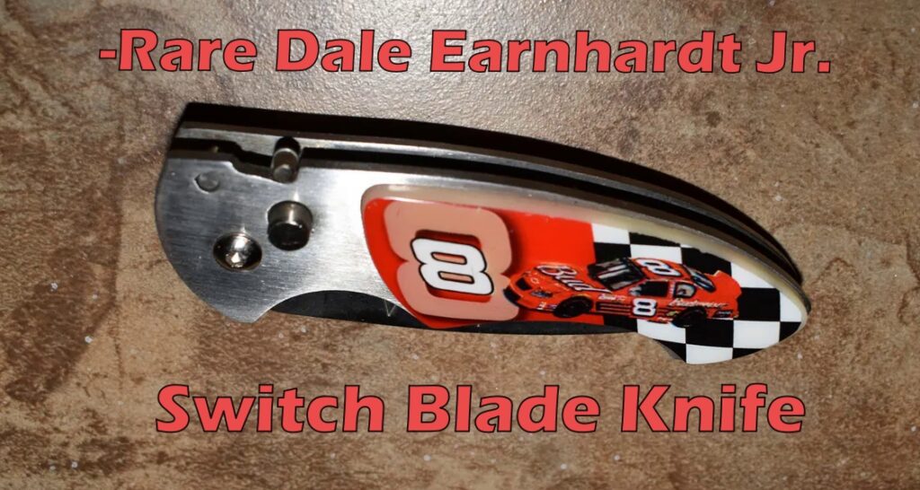 Dale Earnhardt jr