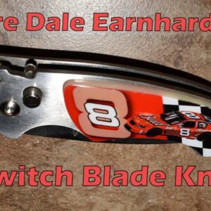 Dale Earnhardt jr
