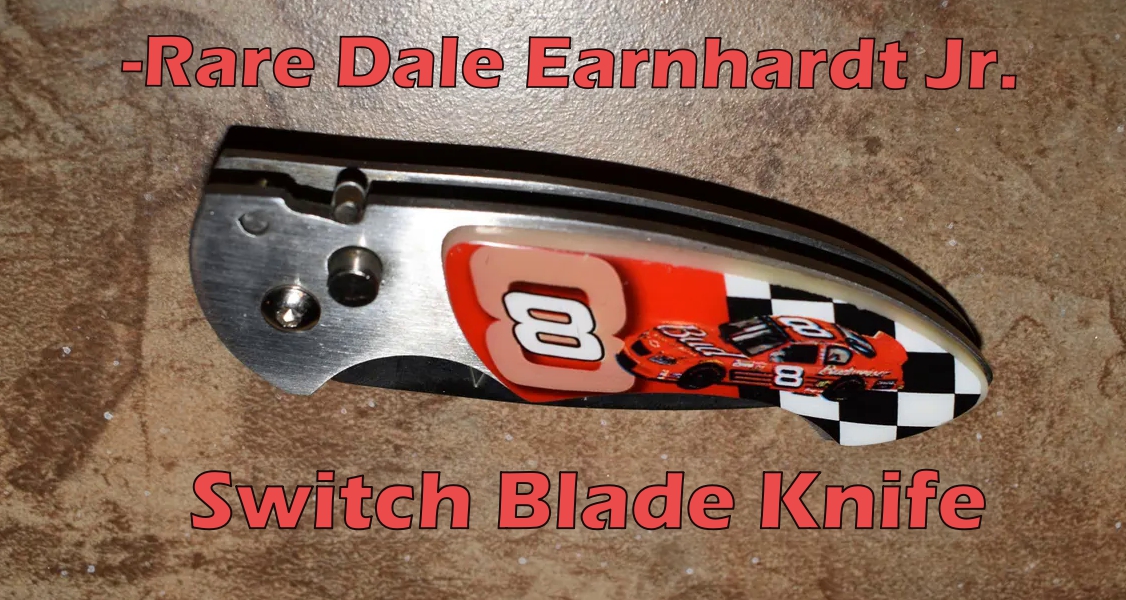 Dale Earnhardt jr