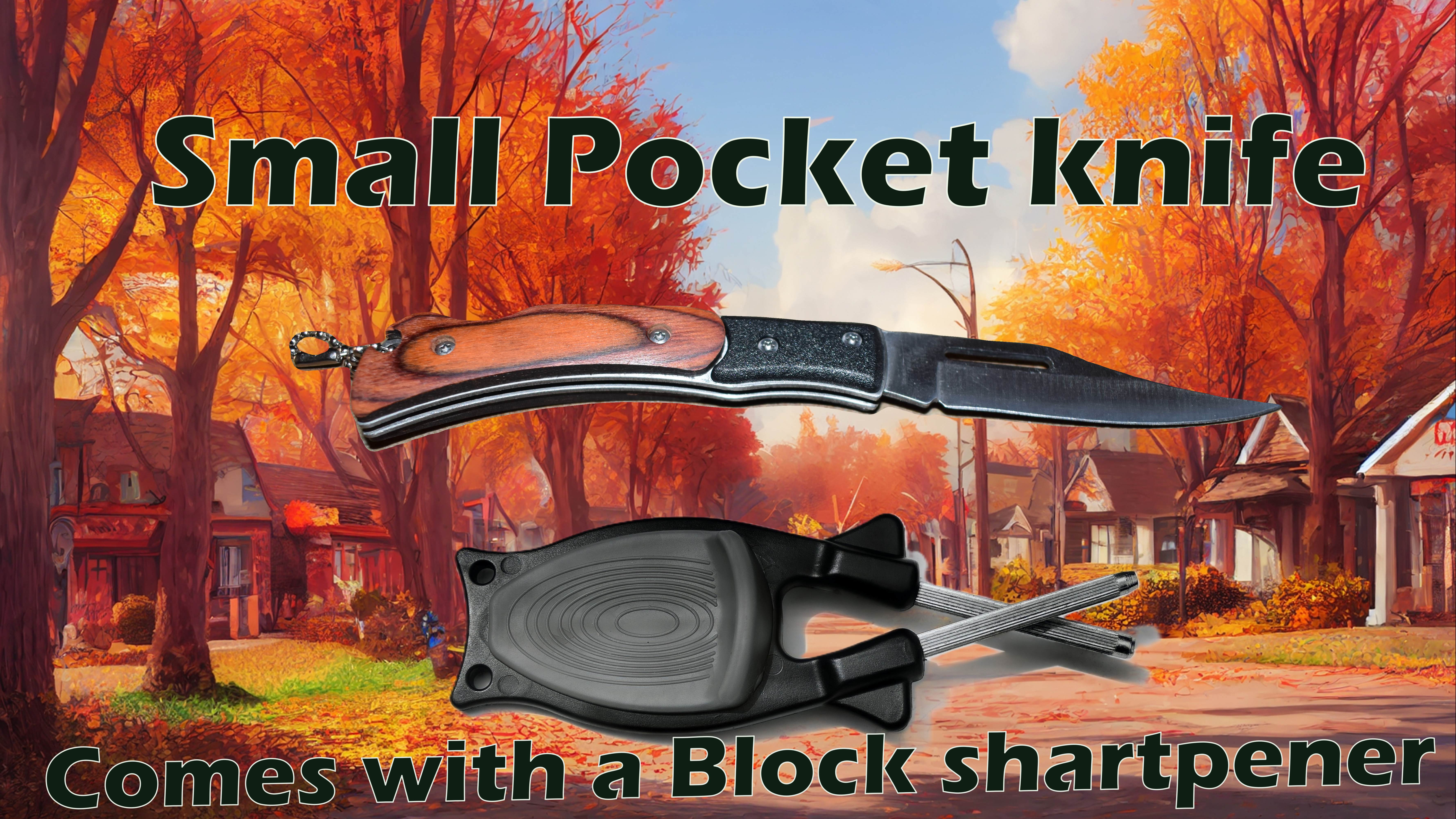 Block's pocketknife sharpener