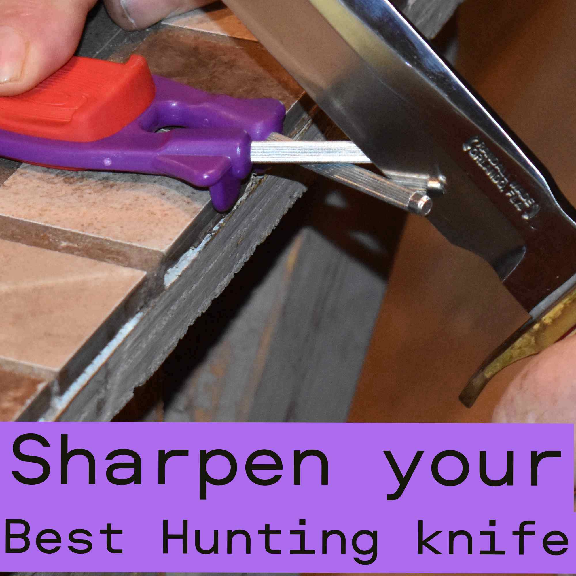 A Randall hunting knife being sharpened on a handheld purple block sharpener with a red thumb grip.